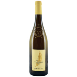Magnum L'Ingénue 2024 AOP